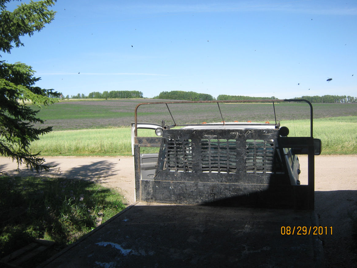 2011 — Early Days photo 9